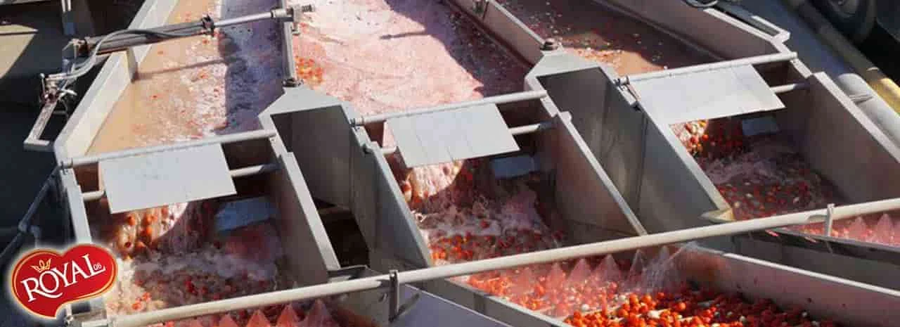 Royal Tomato Paste Production Equipment