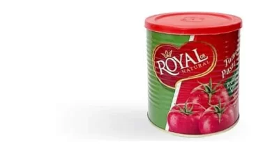 Royal Foods Canned Tomato Paste