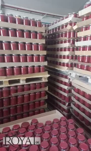 Royal Foods Iranian Tomato Paste Supplier