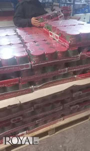 Royal Tomato Paste Supplier