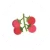 Tomato Cute Icon