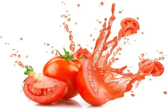 Fresh & Premium Iran Tomato