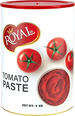 Delmast 4 KG First-Class Tomato Paste